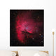 Ngc 281 Pacman Nebula Wall Decal
