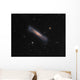 Ngc 3628 Hamburger Galaxy Wall Decal