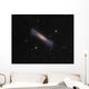 Ngc 3628 Hamburger Galaxy Wall Decal