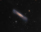 Ngc 3628 Hamburger Galaxy Wall Decal