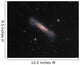 Ngc 3628 Hamburger Galaxy Wall Decal