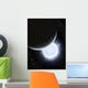 Tiny Moon Rakka Ume Wall Decal