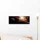 From Busy Planetary System Wall Decal