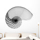 Nautilus Shell Lite X-Ray Wall Decal