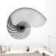 Nautilus Shell Lite X-Ray Wall Decal