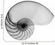 Nautilus Shell Lite X-Ray Wall Decal