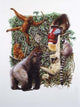 Primates Wall Decal