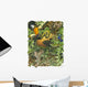 Endangered Rainforest Wall Decal
