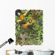 Endangered Rainforest Wall Decal