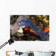 Aeolid Nudibranch Batangas Philippines Wall Decal