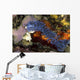 Aeolid Nudibranch Batangas Philippines Wall Decal