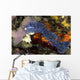 Aeolid Nudibranch Batangas Philippines Wall Decal