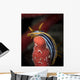Chromodoris Quadricolor Red Sea Wall Decal