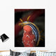 Chromodoris Quadricolor Red Sea Wall Decal