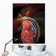 Chromodoris Quadricolor Red Sea Wall Decal