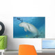 Dugong Red Sea Egypt Wall Decal