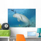 Dugong Red Sea Egypt Wall Decal
