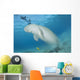Dugong Red Sea Egypt Wall Decal