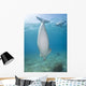 Dugong Red Sea Egypt Vertical Wall Decal