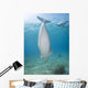 Dugong Red Sea Egypt Vertical Wall Decal
