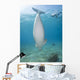 Dugong Red Sea Egypt Vertical Wall Decal