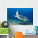 Green Sea Turtle Ocean Floor Wall Decal