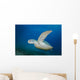 Green Sea Turtle Close-up Wall Decal