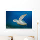 Green Sea Turtle Close-up Wall Decal