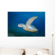Green Sea Turtle Close-up Wall Decal