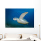 Green Sea Turtle Close-up Wall Decal