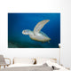 Green Sea Turtle Close-up Wall Decal