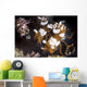 Squat Shrimp Also Called Wall Decal