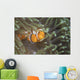 False Clownfish North Sulawesi Horizontal Wall Decal