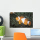 False Clownfish North Sulawesi Let Side Wall Decal