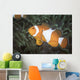 False Clownfish North Sulawesi Let Side Wall Decal