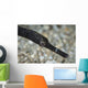 Pipefish North Sulawesi Indonesia Wall Decal