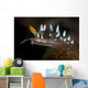 Desirable Flabellina Flabellina Exoptata Wall Decal