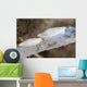 Spindle Cowries North Sulawesi Wall Decal