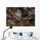 Serene's Black Coral Crab Wall Decal