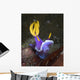 Hypselodoris Sp Nudibranch North Wall Decal