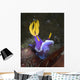 Hypselodoris Sp Nudibranch North Wall Decal