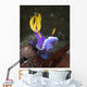 Hypselodoris Sp Nudibranch North Wall Decal