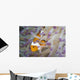 False Clownfish North Sulawesi Peeking Out of Anemone Wall Decal
