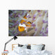 False Clownfish North Sulawesi Peeking Out of Anemone Wall Decal