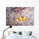 False Clownfish North Sulawesi Wall Decal