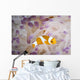 False Clownfish North Sulawesi Wall Decal