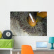 Orange Skunk Clownfish North Wall Decal