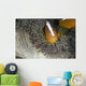Orange Skunk Clownfish North Wall Decal