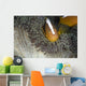 Orange Skunk Clownfish North Wall Decal