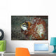 Fangblenny North Sulawesi Indonesia Wall Decal